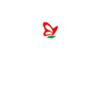 lala-griego-logo-191